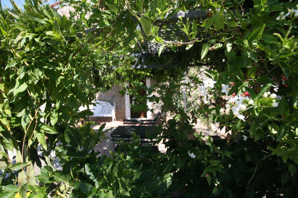 Le Coste Casa Vacanze Scarlino Exterior foto